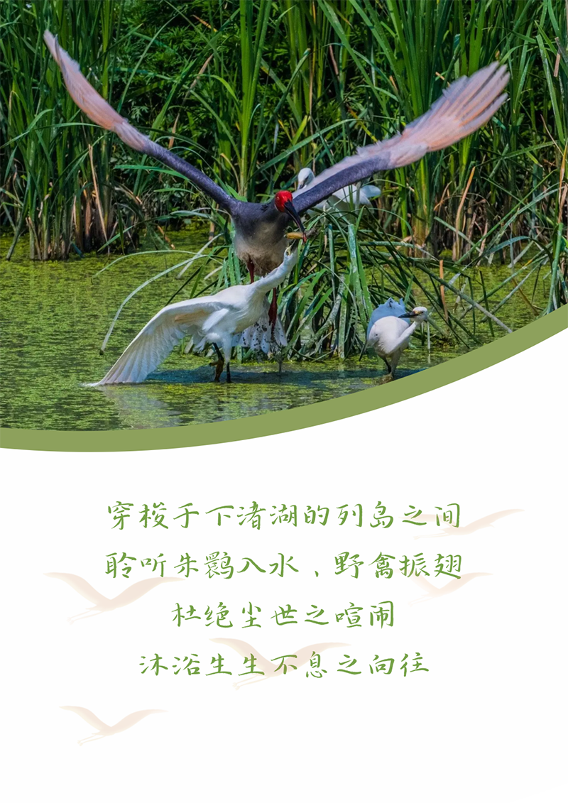 心心念廿 相伴尊凯实业 | 与德清相约 贺廿载诞辰